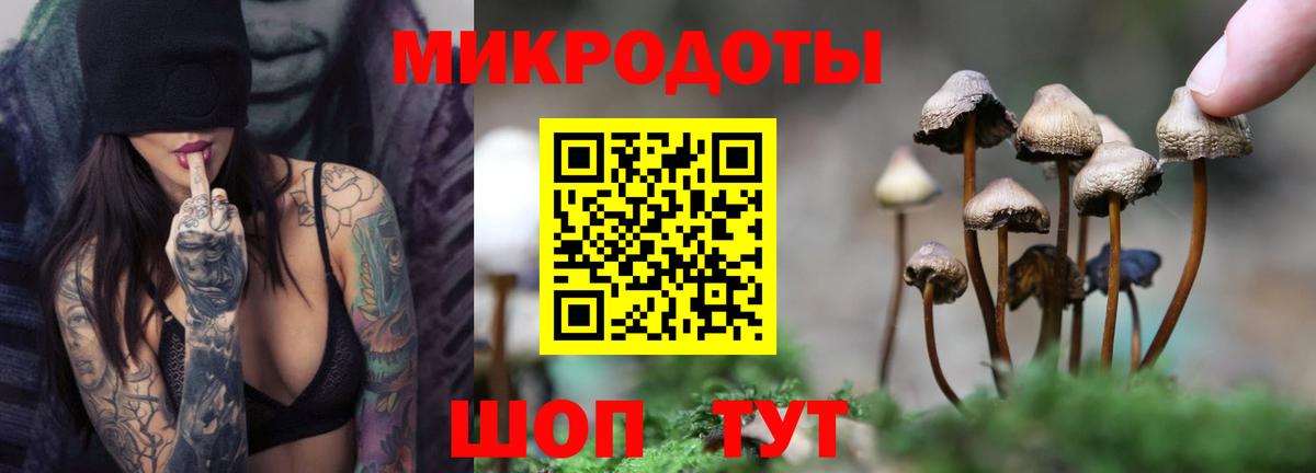 цена наркотик  Вход с VPN  Югорск  Псилоцибиновые грибы GOLDEN TEACHER  Галлюциногенные грибы MAGIC MUSHROOMS 